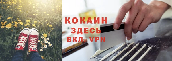 стафф Аркадак
