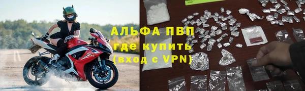 гидра Коряжма