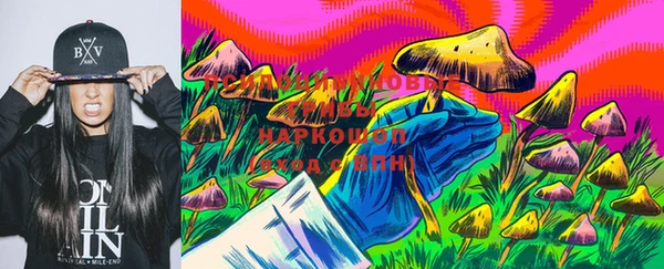 стафф Аркадак