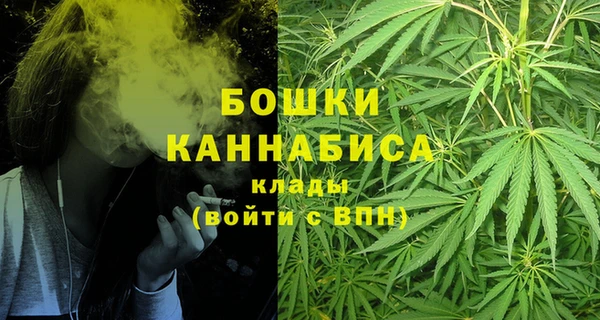 стафф Аркадак
