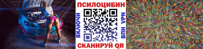 маркетплейс клад  магазин продажи   Кирово-Чепецк  Псилоцибиновые грибы Psilocybine cubensis 